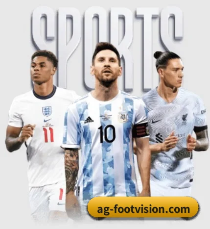 五大服务分区,信息按项目分类 | AGAPP