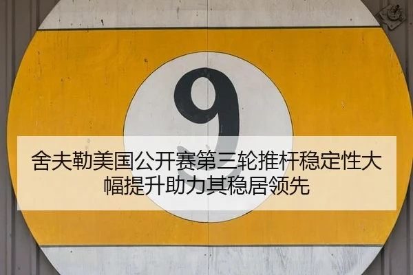 she-fu-lei-mei-guo-gong-kai-sai-di-san-lun-tui-gan-wen-ding-xing-da-fu-ti-sheng-zhu-li-qi-wen-ju-ling-xian-3-892.jpg