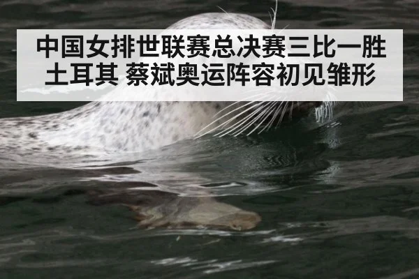 中国女排世联赛总决赛三比一胜土耳其 蔡斌奥运阵容初见雏形